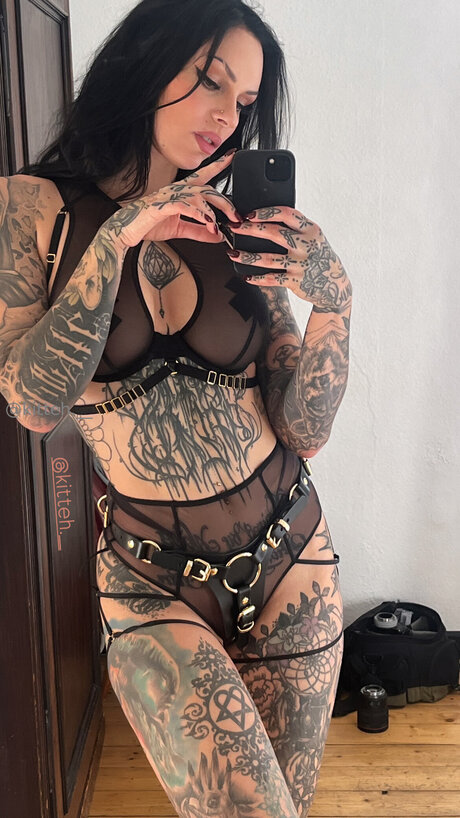 Kitteh Official beste heiße bilder