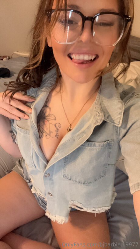 Bjbarbie 19977 hübsche beste foto