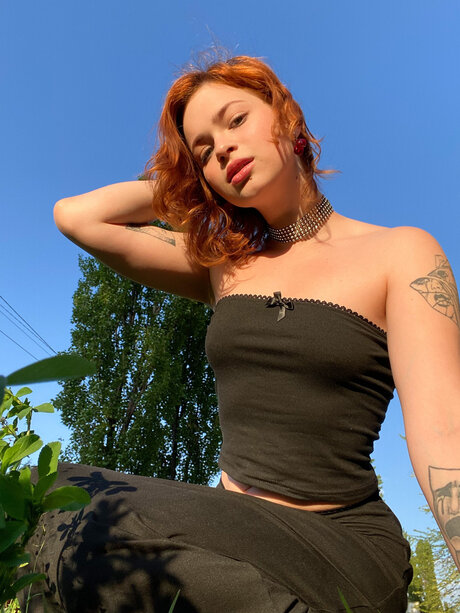 Pineappleri hübsche perfekte bilder