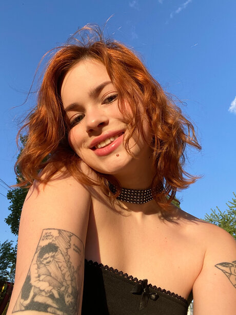 Pineappleri schöne exklusive foto