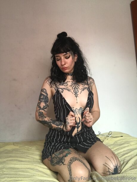 Rebekahrose pornostar xxx archiv