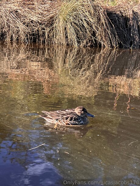 Lucasjacobs170 kunst nacktheit fotos