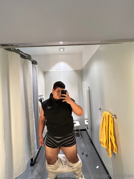 Grayhan hd kostenlose bilder