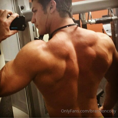 Brandoncody hd top galerie