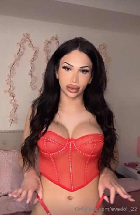 Evedoll 22 pornostar nette foto