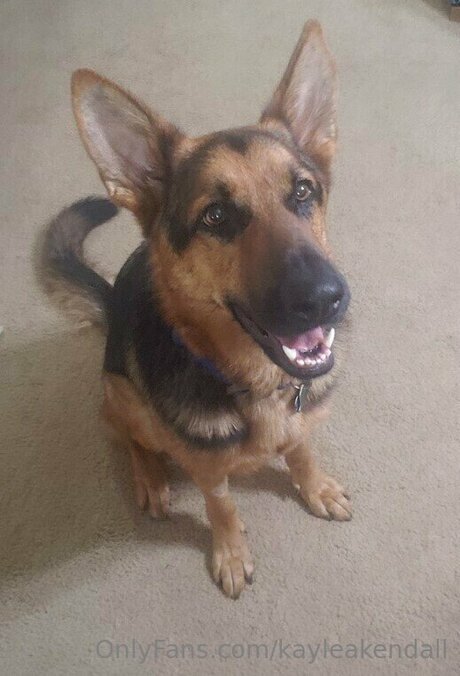 Kayleakendall heiße sexy galerien