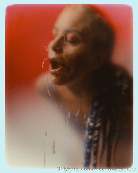 Thecarnalcamera kunst exklusive galerien