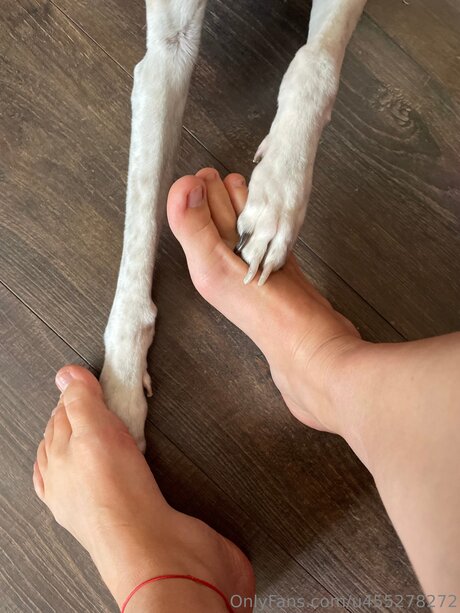 U455278272 nacktheit erotische foto