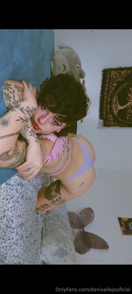 Danivallejooficial kunst bilder