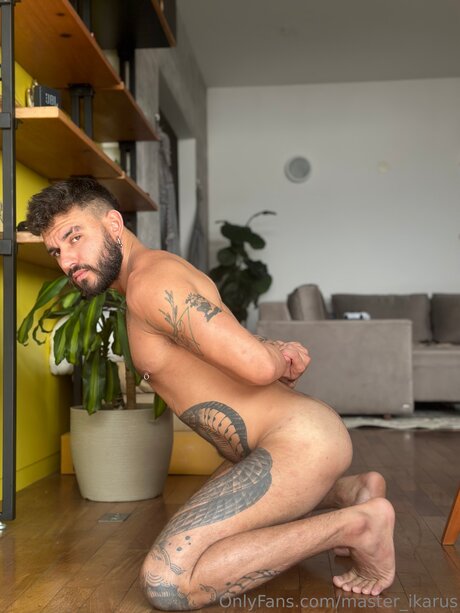 Master Ikarus schöne kostenlose bild