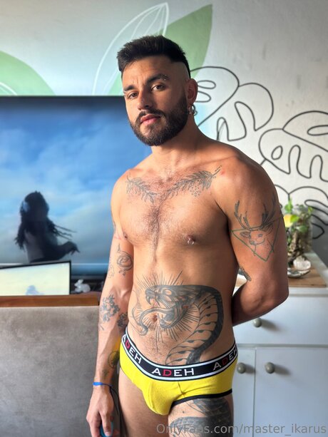 Master Ikarus porno kunst galerie