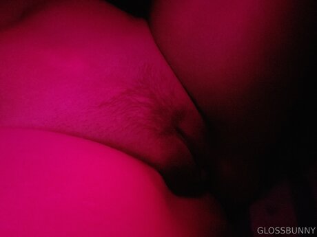 Glossbunny model erotische archiv