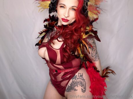 gay tube onlyfans top exklusive bild