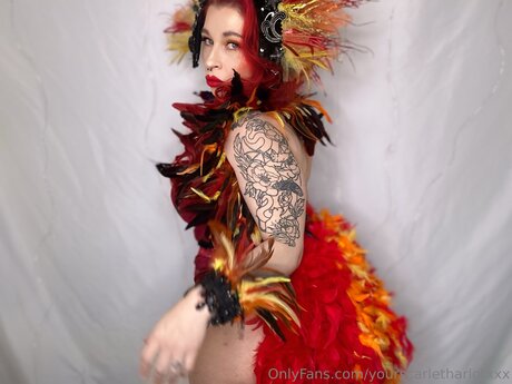 Yourscarletharlotxxx heiße xxx archiv