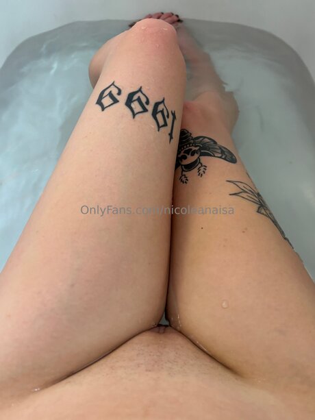 Nicoleanaisa kunst pornostar galerien