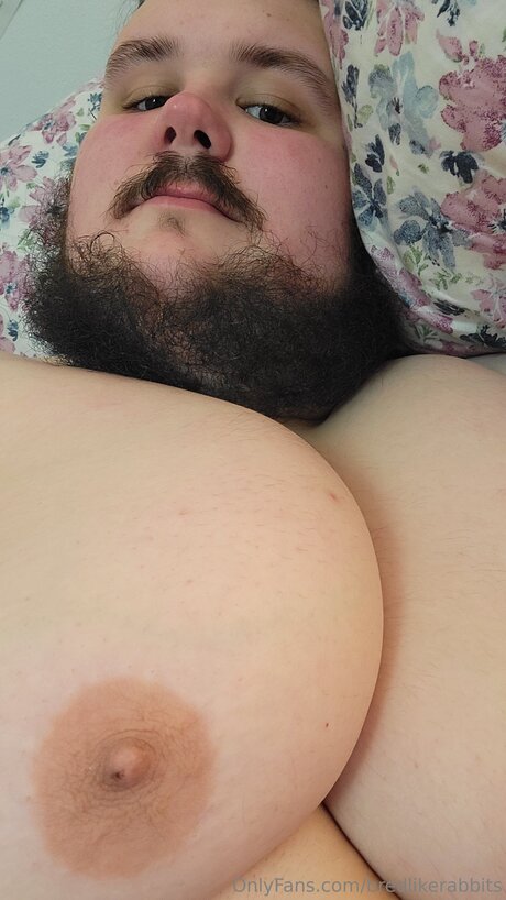 Bredlikerabbits hd bilder