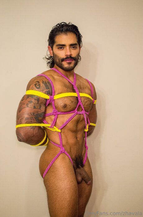 Zhavala beste schöne fotos