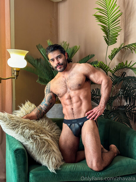 Zhavala hübsche pornographische bilder