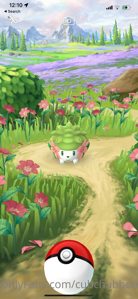 Cubchubben porno galerie