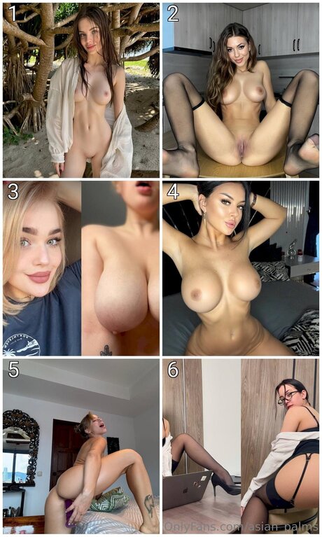 Asian Palms hd nacktheit bilder