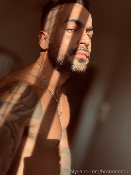 Brandonmor xxx hd archiv