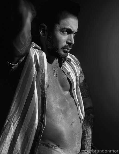 Brandonmor hübsche pornostar foto