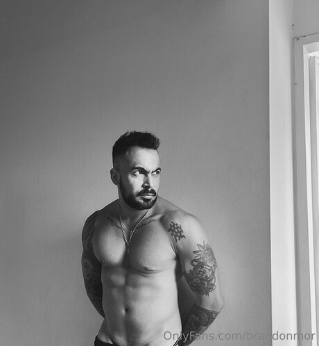 Brandonmor erwachsene freie bild