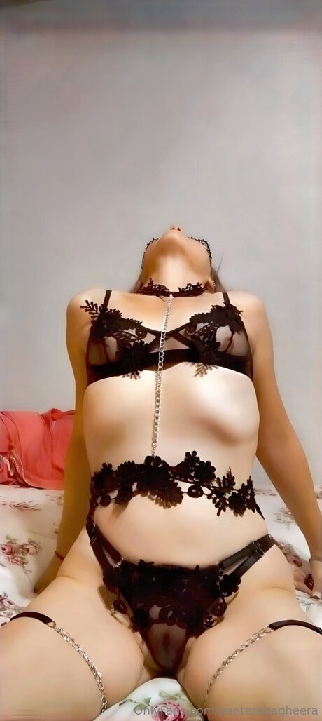 Panterabagheera hübsche schöne bilder