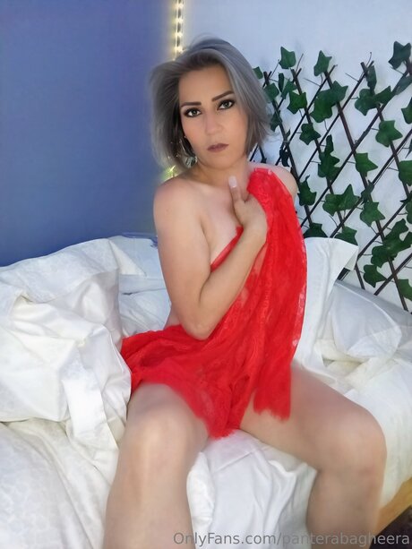 Panterabagheera pornostar xxx fotos