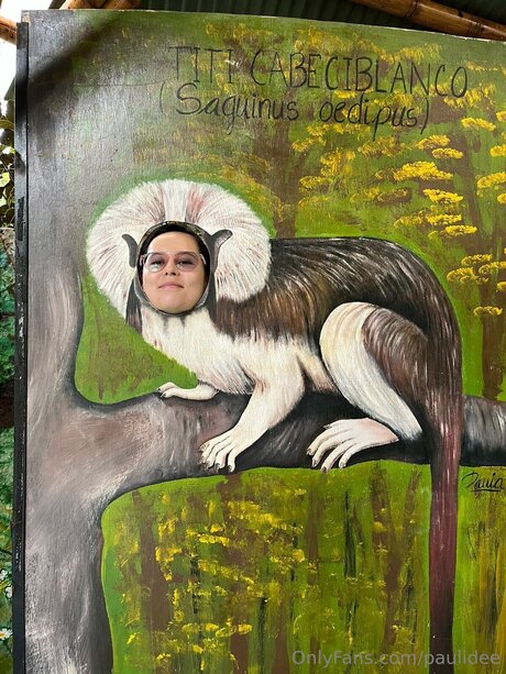 Paulidee freie hübsche bild