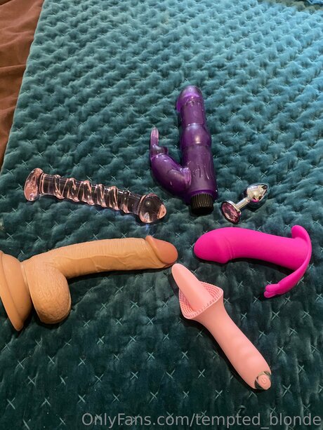 Tempted Blonde nacktheit hübsche galerie