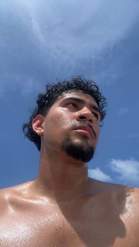 Strawbaries freie schöne fotos