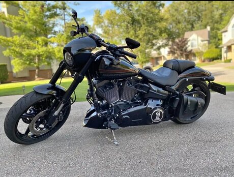 Bedellx hd kostenlose fotos