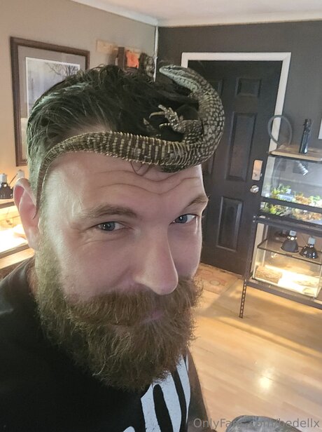 Bedellx porno hd galerien