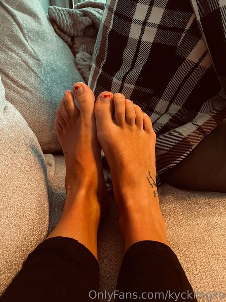 Kycklingko erwachsene fotos