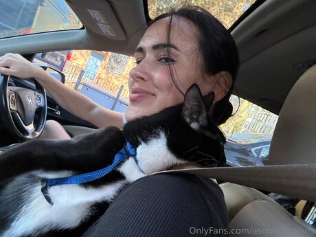 Asmrwitholivia schöne sexy galerien