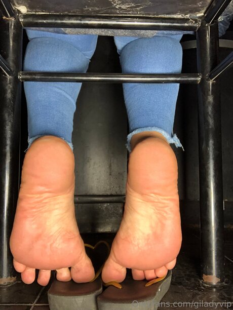 Giladyvip perfekte kunst archiv