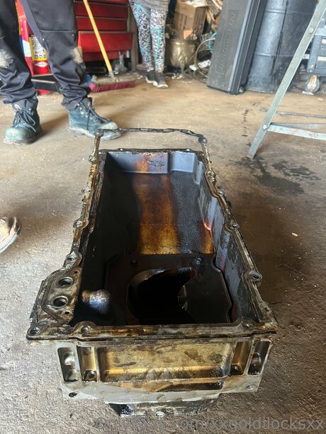 Xxgoldilocksxx perfekte hübsche bild