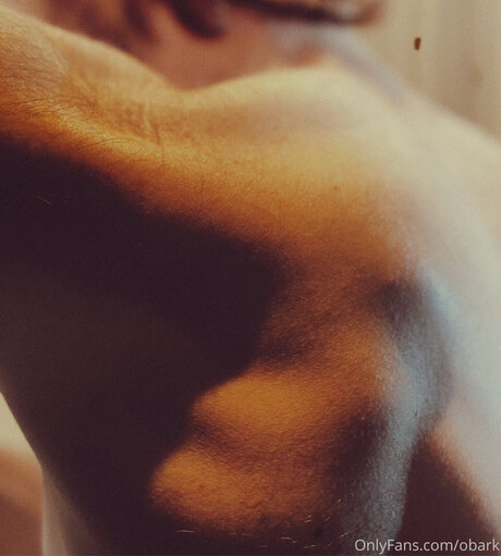 Obark perfekte pornostar galerien