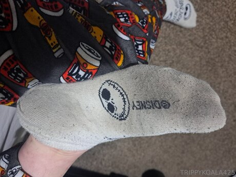 Trippykoala425 hd kostenlose foto