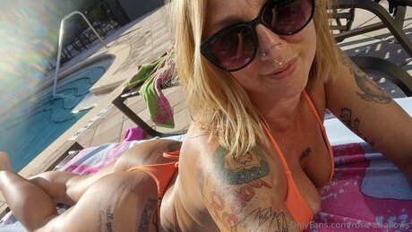 Rose Swallows kunst heiße galerie