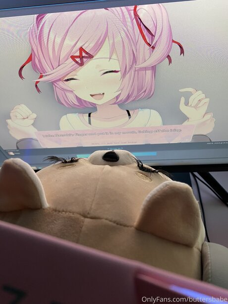 Zaykap hd freie bilder