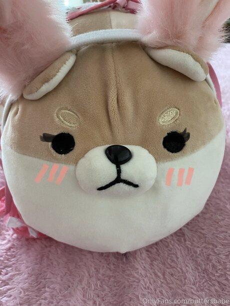 Zaykap schöne freie fotos