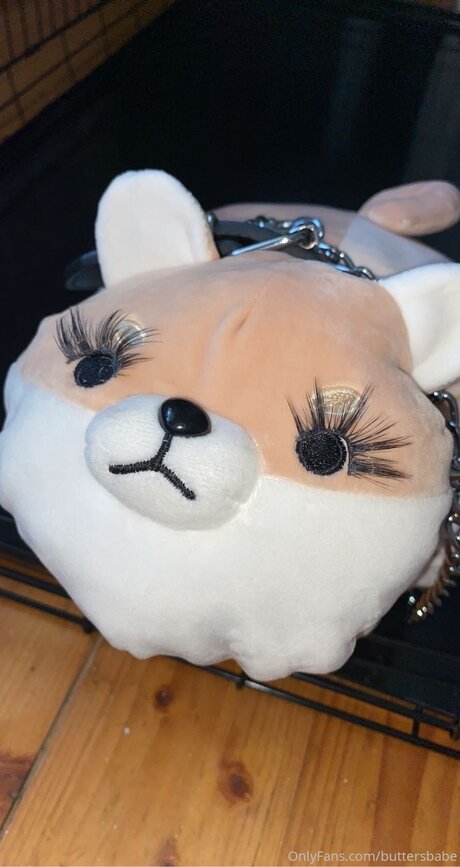 Zaykap heiße schöne bilder