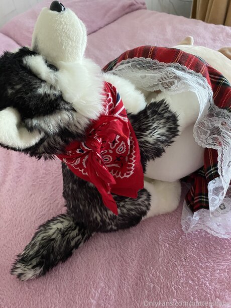 Zaykap hd pornostar fotos