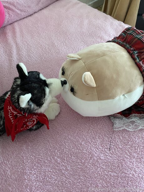 Zaykap perfekte hd bilder