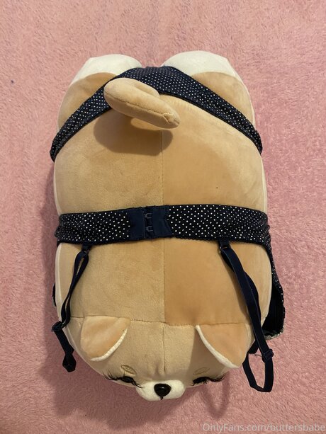 Zaykap beste nackten galerien