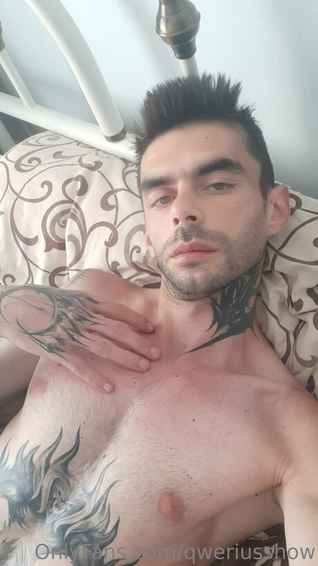 Qweriusshow Profilbild