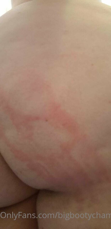 Bigbootychampagne hübsche fotos