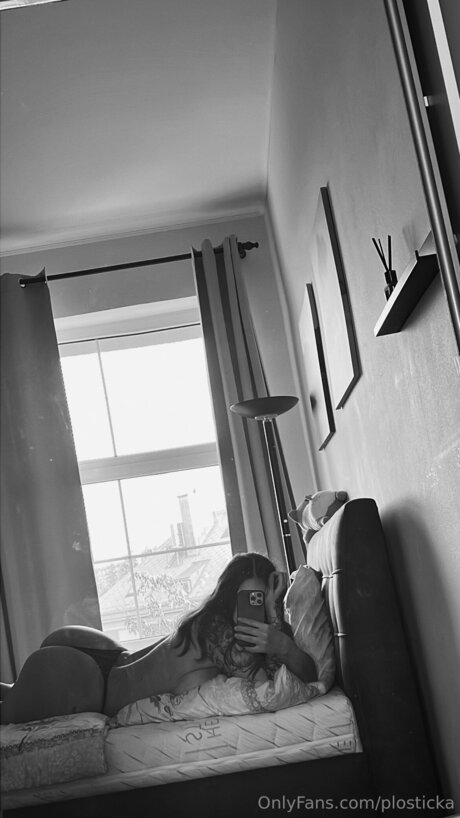 Plosticka kunst pornographische galerien